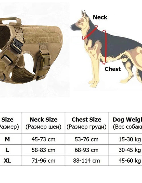 Load image into Gallery viewer, Dog Accessories Breathable Mesh Dog Harness and Leash Set Puppy Cat Harness Vest for Small Dogs Chihuahua Arnes Para Perro
